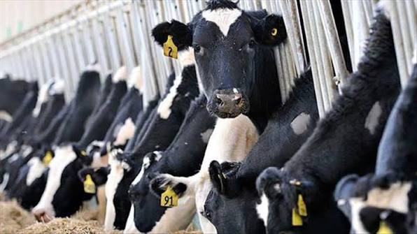 ANIMAL PRODUCTION TECHNICIAN l5