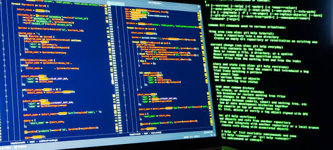 SOFTWARE DEVELOPER l6