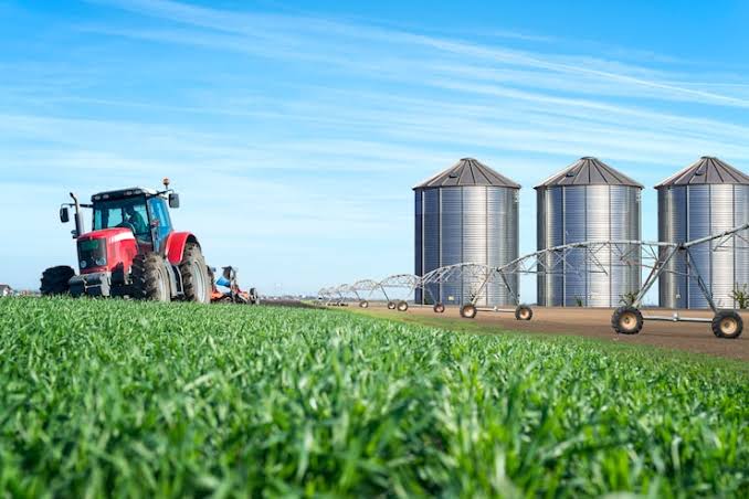 AGRICULTURE AND EXTENSION PRACTITIONER